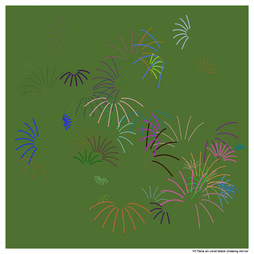 47 fans on vivid black chasing mirror