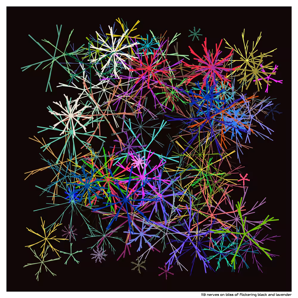 113 nerves on bliss of flickering black and lavender